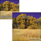 Tiffen 5.65 x 5.65" Complement Amber 2 Filter