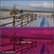 Tiffen 5.65 x 5.65" 3 Cranberry Solid Color Filter