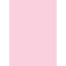 Westcott Solid Color Art Canvas Backdrop with Grommets (5 x 7', Pink)