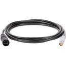 Wooden Camera 3-Pin XLR to 8-Pin Alexa Mini LEMO Cable (Straight, 10')